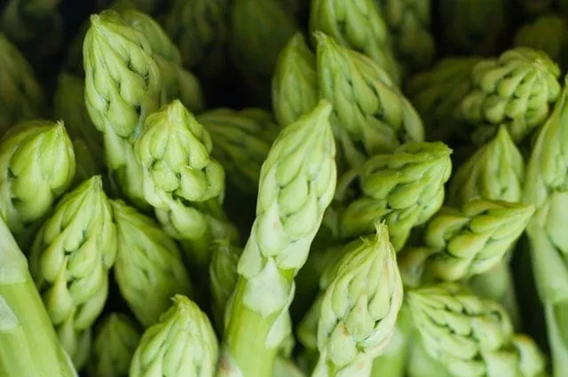Nahaufnahme frischer grüner Spargelspitzen
