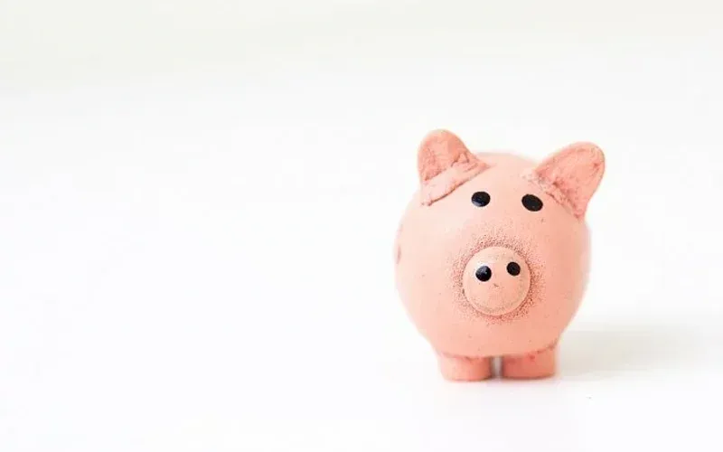 A small pink piggy bank against a plain white background