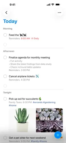 A Reminders "Today" view mixing "Feed the cats", "Finalize agenda for monthly meeting" and "Pick up soil for succulents" under Morning, Afternoon and Tonight