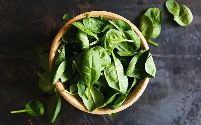 A photo of basil, illustrating how to store it
