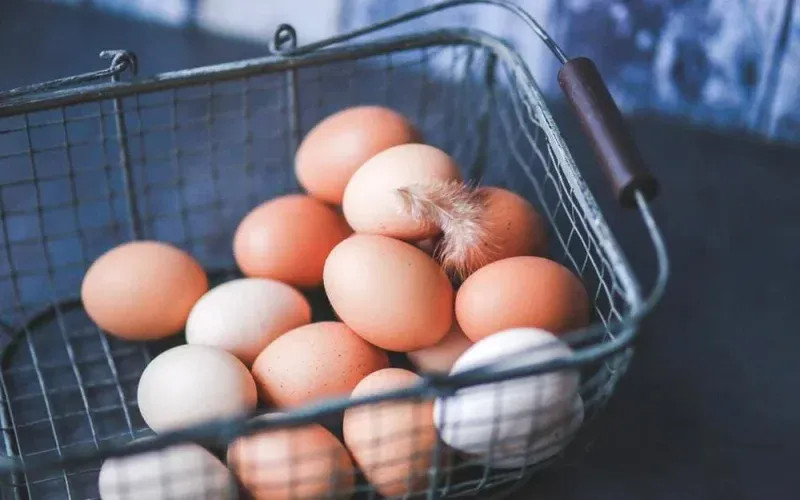A wire basket full of eggs