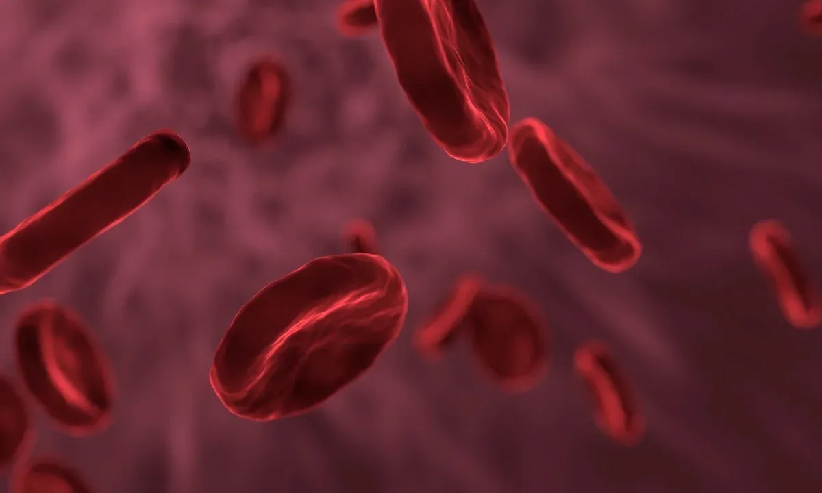 Globules rouges en gros plan dans un liquide rouge sombre