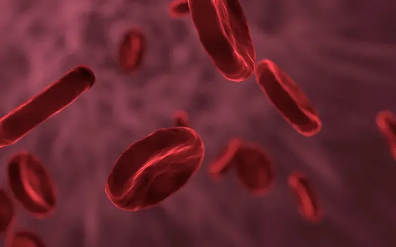 A photo illustrating the blood type O food list