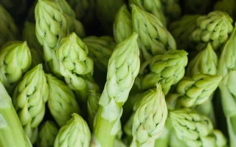 A photo of asparagus, illustrating how to store it