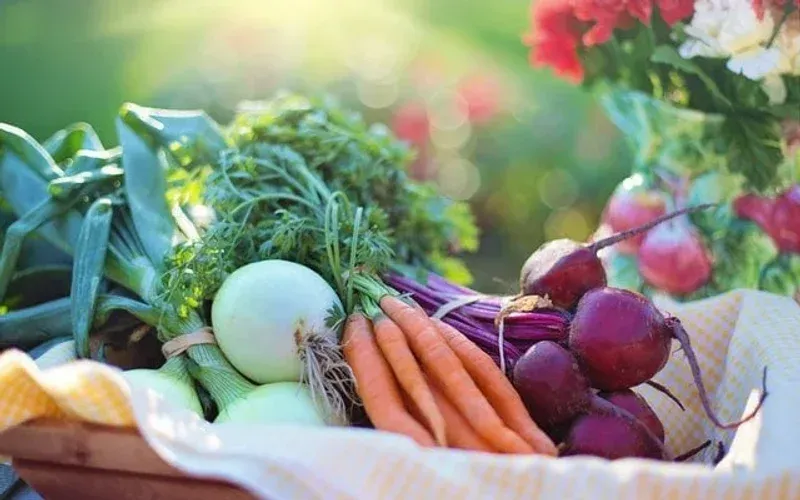 A photo illustrating the low-iodine diet shopping list