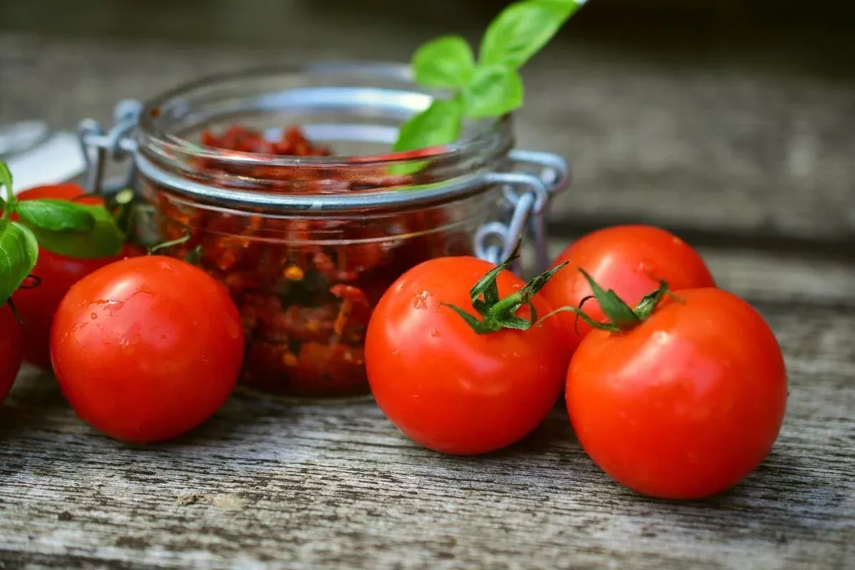 Frische rote Tomaten und ein Glas gehackte Tomaten auf einem Holztisch