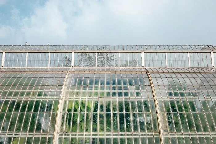 Grande serre vitrée à structure métallique sous un ciel nuageux